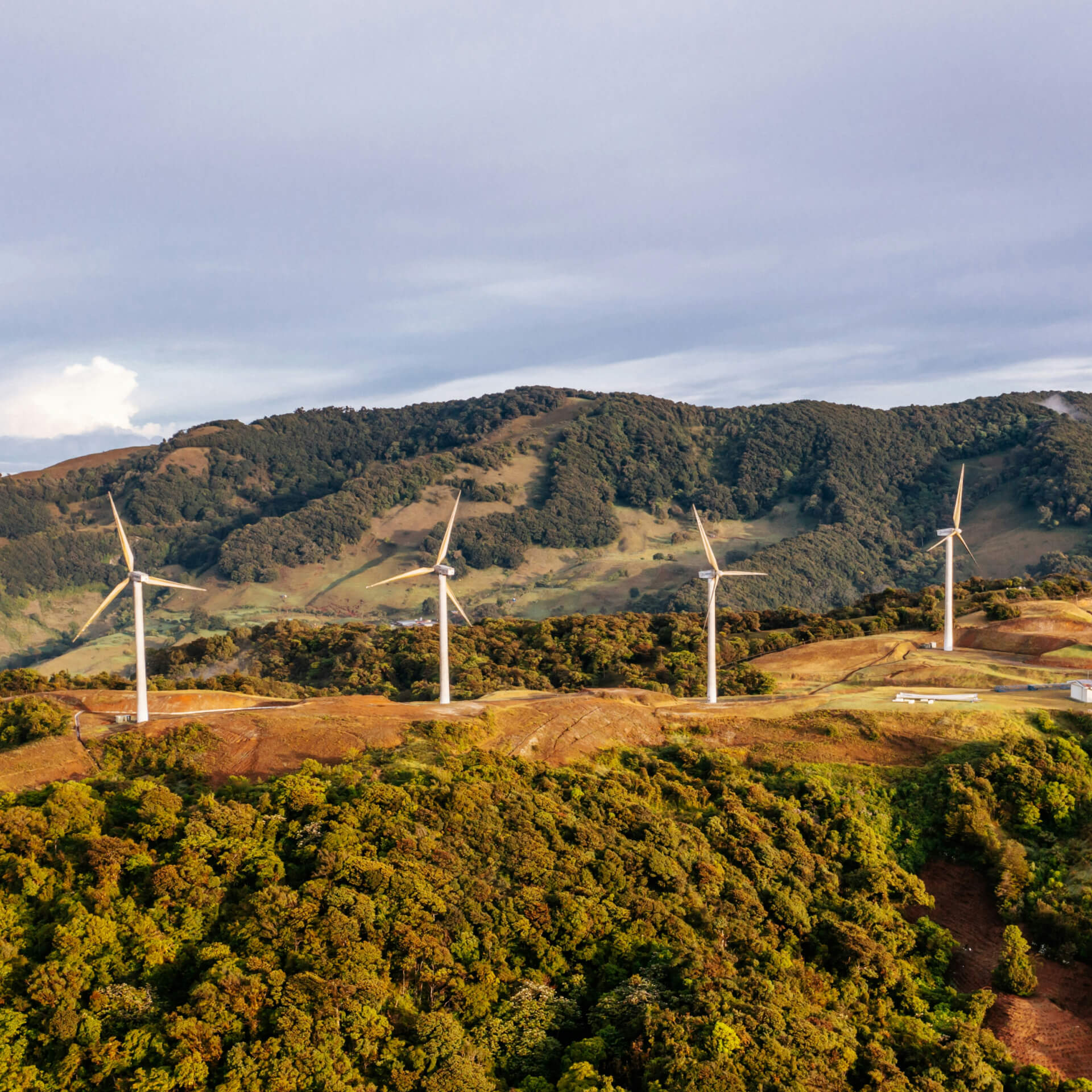 Siamo una compagnia al servizio dell’energia