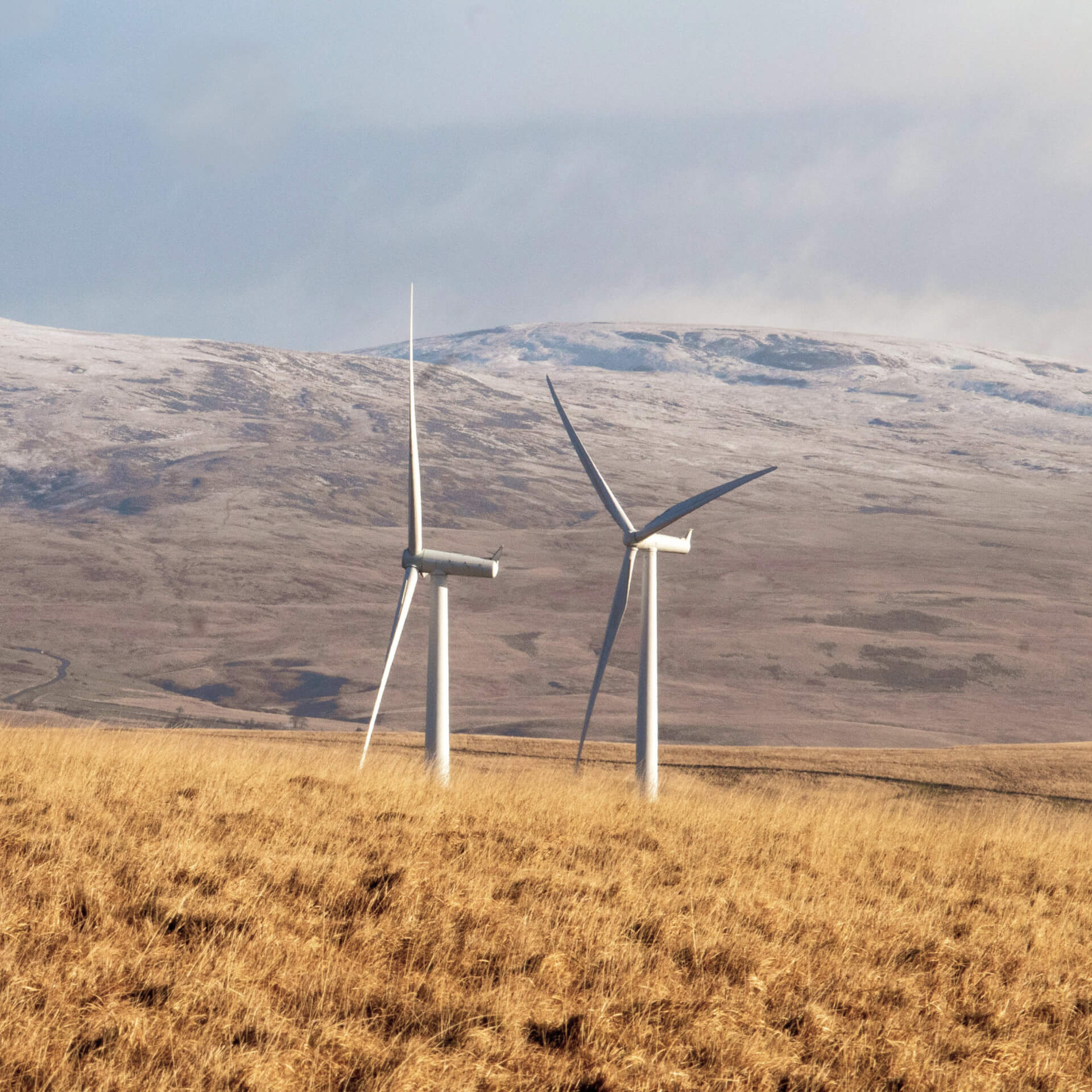 Il punto non è l’energia a buon mercato.
Il punto è quale energia fa buon mercato.